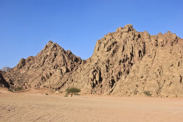 Montaña en el desierto —  Fotos de Stock