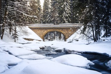 Kışın, orman, kar ve buzla çevrili vahşi nehrin üzerindeki eski taş köprü..