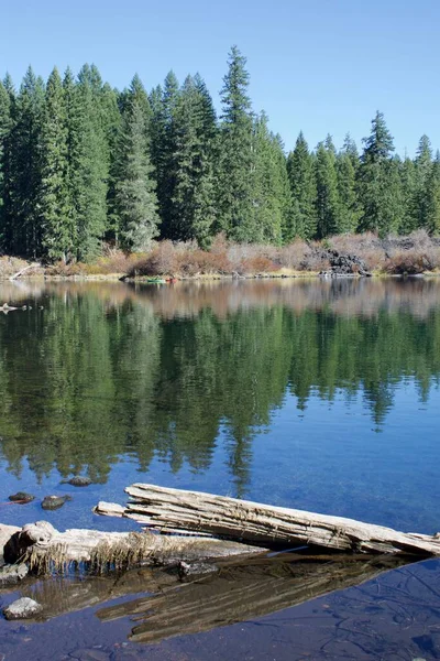 壊れた木のトランク 自然の景色と美しい景色の湖 — ストック写真
