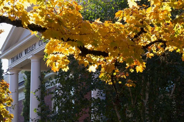 Bâtiment Truman Wesley Collins Feuilles Arbres Saison Automne — Photo