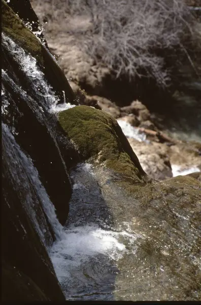 Schöner Wasserfall Wilder Natur Des Waldes — Stockfoto