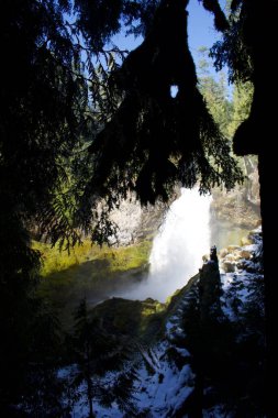 Ağaçlı ve şelaleli vahşi tropikal doğa 