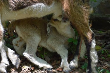 Aydınlanarak şehrin güzel gece manzarası 