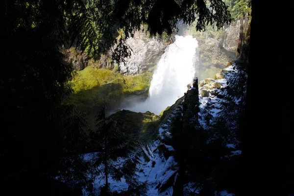 Naturaleza Tropical Salvaje Con Árboles Cascada — Foto de Stock