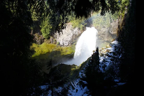 Naturaleza Tropical Salvaje Con Árboles Cascada — Foto de Stock