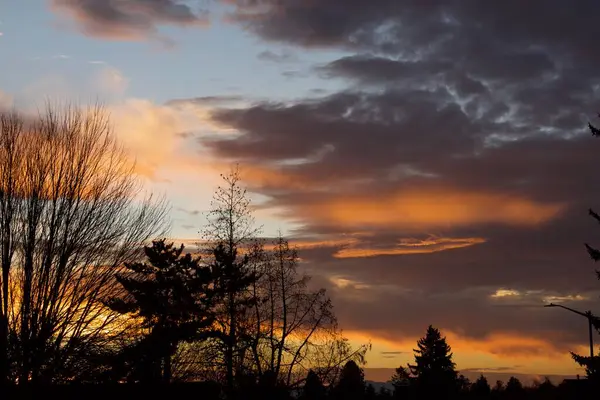 Orange Farbe Sonnenuntergang Himmel Mit Wolken Und Bäumen — Stockfoto