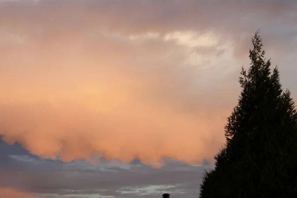 Оранжевый Цвет Заката Неба Облаками Сосны — стоковое фото