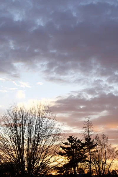 Orange Farbe Sonnenuntergang Himmel Mit Wolken Und Bäumen — Stockfoto
