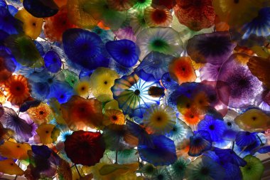 renkli arka plan ile çiçekler