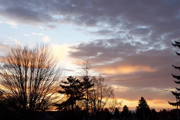 Orange Farbe Sonnenuntergang Himmel Mit Wolken Und Bäumen — Stockfoto