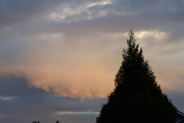 Πορτοκαλί Χρώμα Ηλιοβασίλεμα Ουρανό Σύννεφα Και Πεύκο — Φωτογραφία Αρχείου