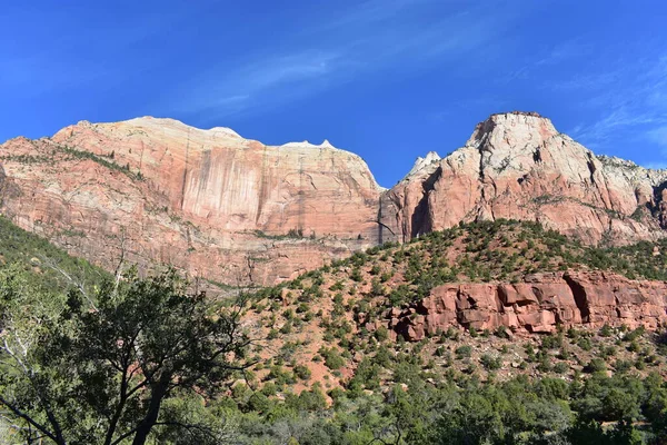 Beautiful Mountain Zion National Park Utah Usa — Stock Photo, Image