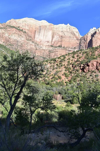 Beautiful Mountain Zion National Park Utah Usa — Stock Photo, Image