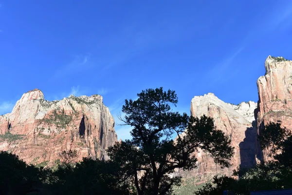 Beautiful Mountain Zion National Park Utah Usa — Stock Photo, Image