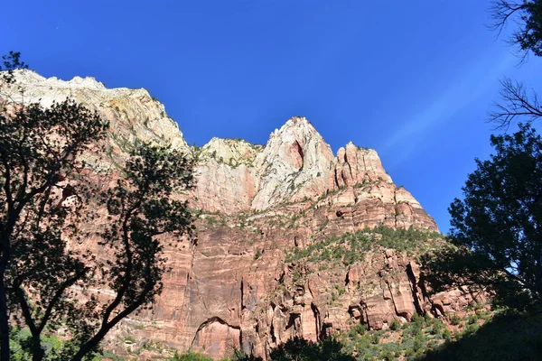 Beautiful Mountain Zion National Park Utah Usa — Stock Photo, Image