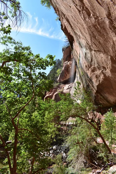 Beautiful Mountain Zion National Park Utah Usa — Stock Photo, Image