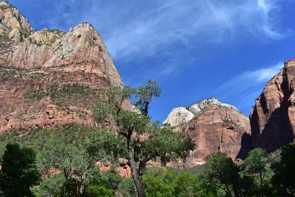 Beautiful Mountain Zion National Park Utah Usa — Stock Photo, Image