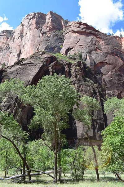 Beautiful Mountain Zion National Park Utah Usa — Stock Photo, Image