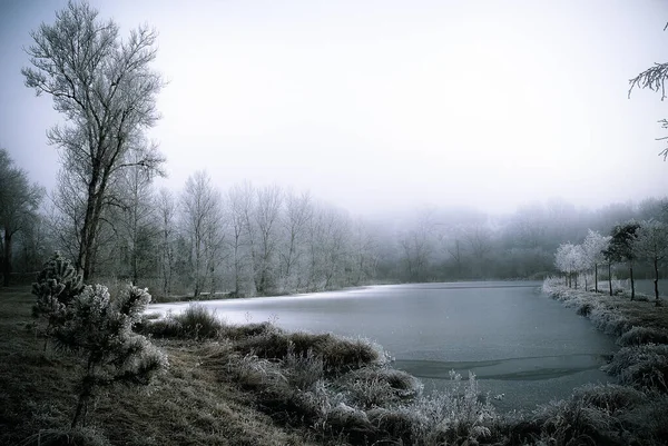 lake in winter r gion rhone alps