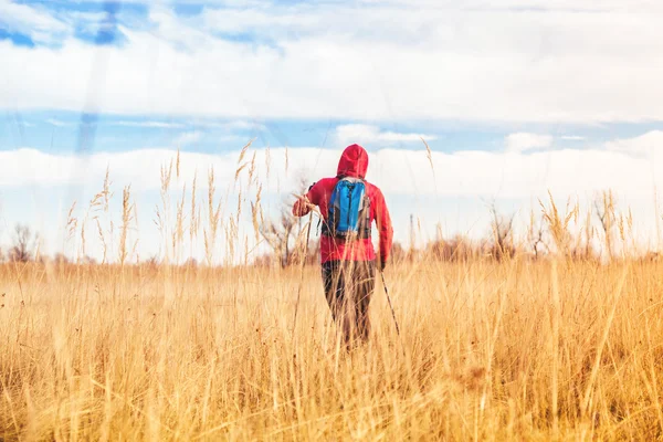 Hiker man with backpack and trekking poles hiking in a field — Stock Photo, Image