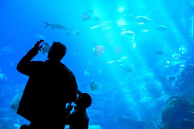 Baba ve oğlu alarak fotoğraf oceanarium akvaryumda bir mercan kayalığı vahşi yaşam.