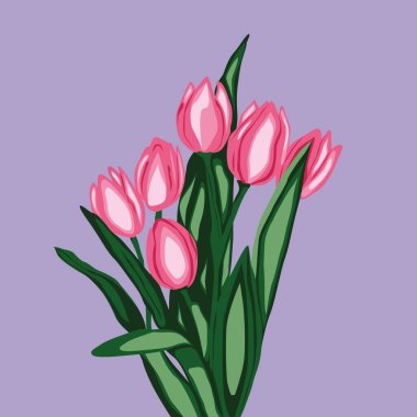 Pembe laleler. Boyama kitabı için bahar çiçekleri, tebrik kartı, davetiye. İlkbahar. Lale çiçeği buketi. Vektör illüstrasyonu.