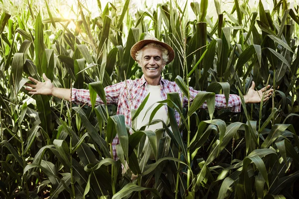 Boldog farmer jelentő területén — Stock Fotó