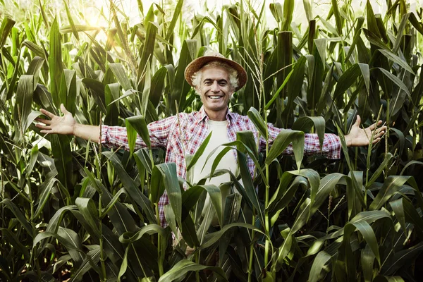 Rolnik szczęśliwy pozowanie w dziedzinie — Zdjęcie stockowe