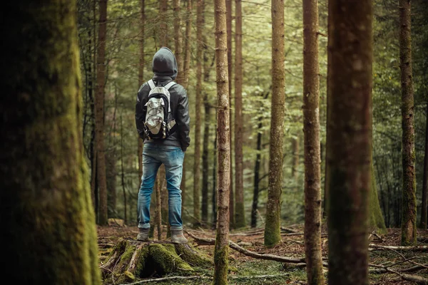 Hombre encapuchado posando en el bosque — Foto de Stock