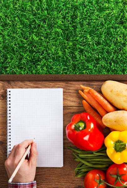 Farmer's notebook with vegetables — Stock fotografie