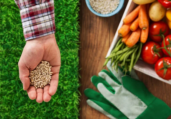 Farmer sowing seeds — Stock Image Farmer sowing seeds Stock Picture