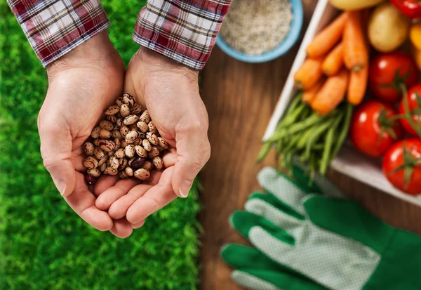Farmer sowing seeds — Stock Image Farmer sowing seeds Royalty Free Stock Images