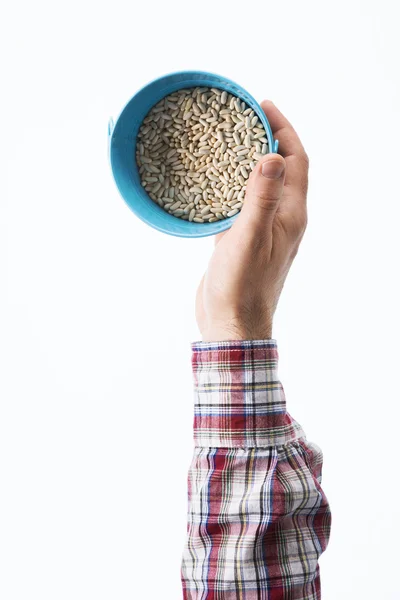 Hand holding seeds — Stock Photo, Image