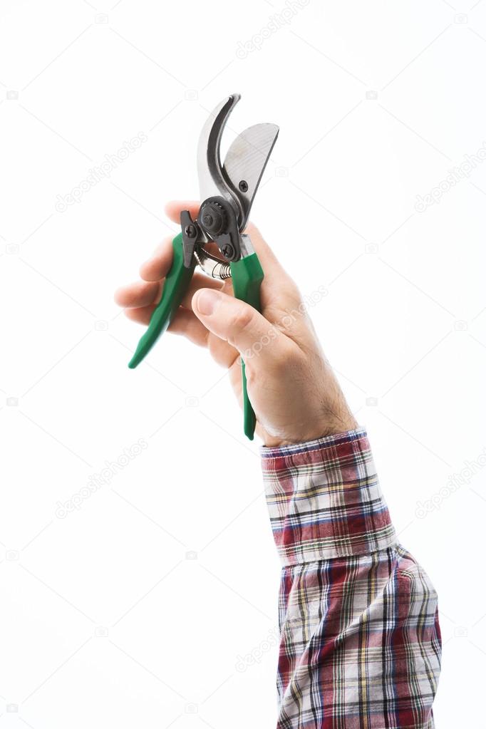 Hand holding pruning shears
