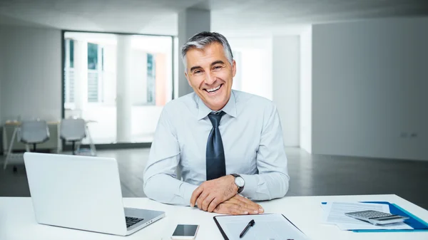 Selbstbewusster Geschäftsmann posiert am Schreibtisch — Stockfoto