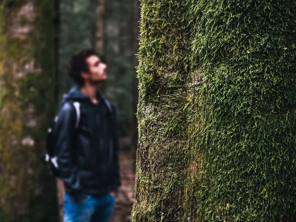 Avslappende i naturen – stockfoto