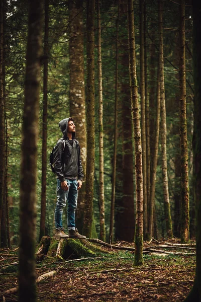 Muž v kapuci pózuje v lese — Stock fotografie