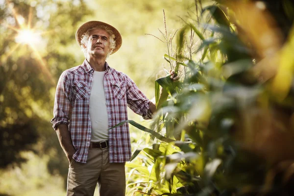 Farmář v terénu — Stock fotografie