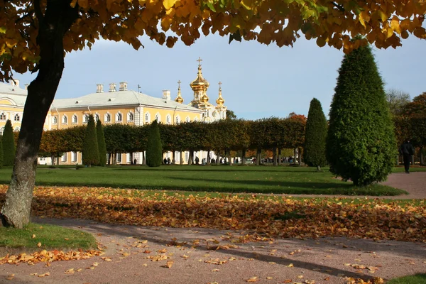 Las fuentes de Peterhof . —  Fotos de Stock