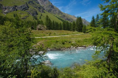 Nehirde Rhemes Notre Dame Vadisi, Aosta, Alpler, İtalya