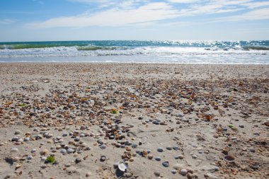 Sandy sahil şeridi yaz, Azak Denizi, Ukrayna