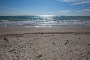 Sandy sahil şeridi yaz, Azak Denizi, Ukrayna