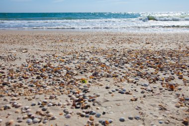 Sandy sahil şeridi ile kabukları yaz, Azak Denizi, Ukrayna