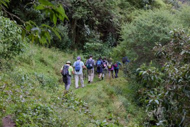 Choquequirao 'ya bir yolculuk sadece bir yürüyüş değildir, nefes kesici manzaralar, antik kalıntılar ve Perus tarihinin kalbi arasında bir maceradır. Her adım bizi bu taşın büyüsüne yaklaştırıyor..