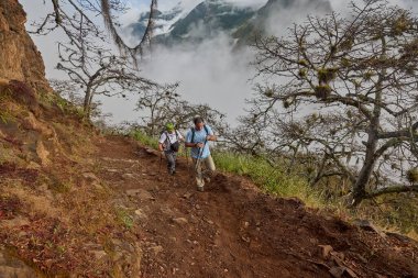Bir grup yürüyüşçü Choquequirao 'ya doğru bir dağ yolu boyunca yürüyorlar, etrafları sis, sarp kayalıklar ve And bitkileriyle çevrili..