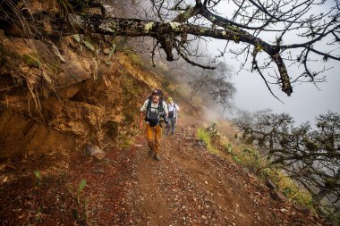Bir grup yürüyüşçü Choquequirao 'ya doğru bir dağ yolu boyunca yürüyorlar, etrafları sis, sarp kayalıklar ve And bitkileriyle çevrili..