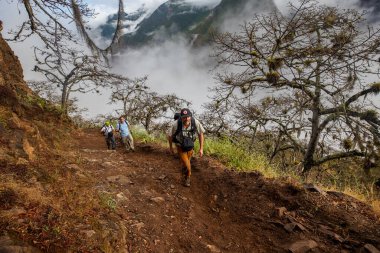 Bir grup yürüyüşçü Choquequirao 'ya doğru bir dağ yolu boyunca yürüyorlar, etrafları sis, sarp kayalıklar ve And bitkileriyle çevrili..