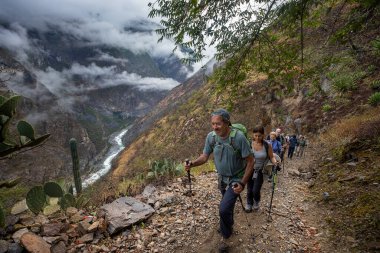 Bir grup yürüyüşçü Choquequirao 'ya doğru bir dağ yolu boyunca yürüyorlar, etrafları sis, sarp kayalıklar ve And bitkileriyle çevrili..