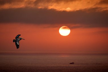 Costa Verde üzerinde sakin bir günbatımı, Miraflores 'den Pasifik' in günün son ışıklarıyla buluştuğu yerde, yumuşak renk katmanları ve sükunetle sarılı.