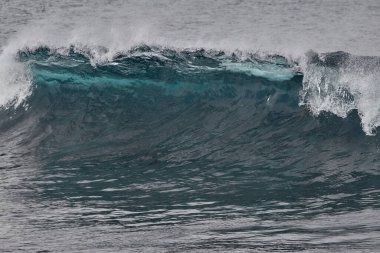 Punta Carola, San Cristbal Adası 'nın en ünlü ve zorlu sörf molalarından birine ev sahipliği yapıyor. Sağ güçlü resif kırığıyla tanınan bu bölge, Galapagos 'ta mükemmel bir yolculuk arayan deneyimli sörfçülerin favorisi..